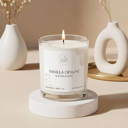 Samy Candle Cove Luxury Scented Glass Candle – 7 oz (200g) Soy Wax | 60-Hour Burn | Hand-Poured, Eco-Friendly Aromatherapy | Premium Gift for Her, Him & Home Décor (Vanilla Opaline)