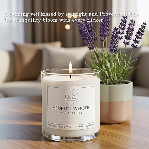 Samy Candle Cove Luxury Scented Glass Candle – 7 oz (200g) Soy Wax | 60-Hour Burn | Hand-Poured, Eco-Friendly Aromatherapy | Premium Gift for Her, Him & Home Décor (Moonlit Lavender)